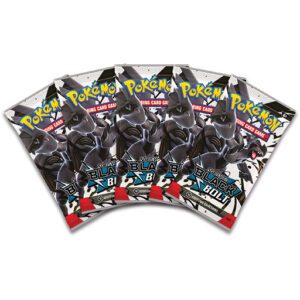 Black & White - Black Bold Binder Collection