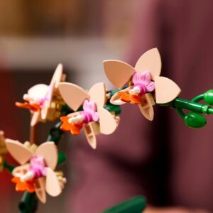 LEGO Botanicals – Miniorchidee 10343 - Afbeelding 5